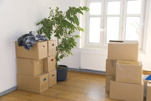 Local moving team helping with packing in Bromley