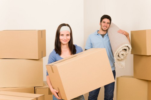 House removalists in Bromley unloading boxes into a new home